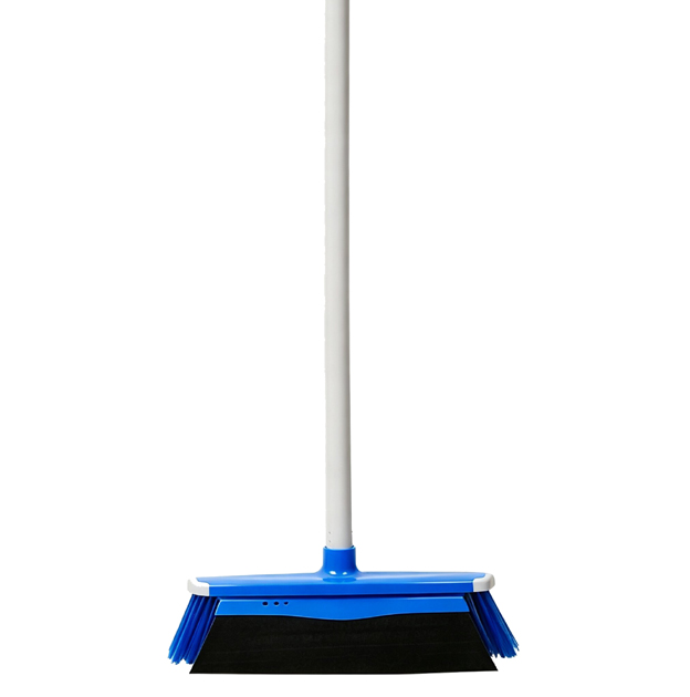 BR101.2012.1  2 in 1 Broom and Squeegee